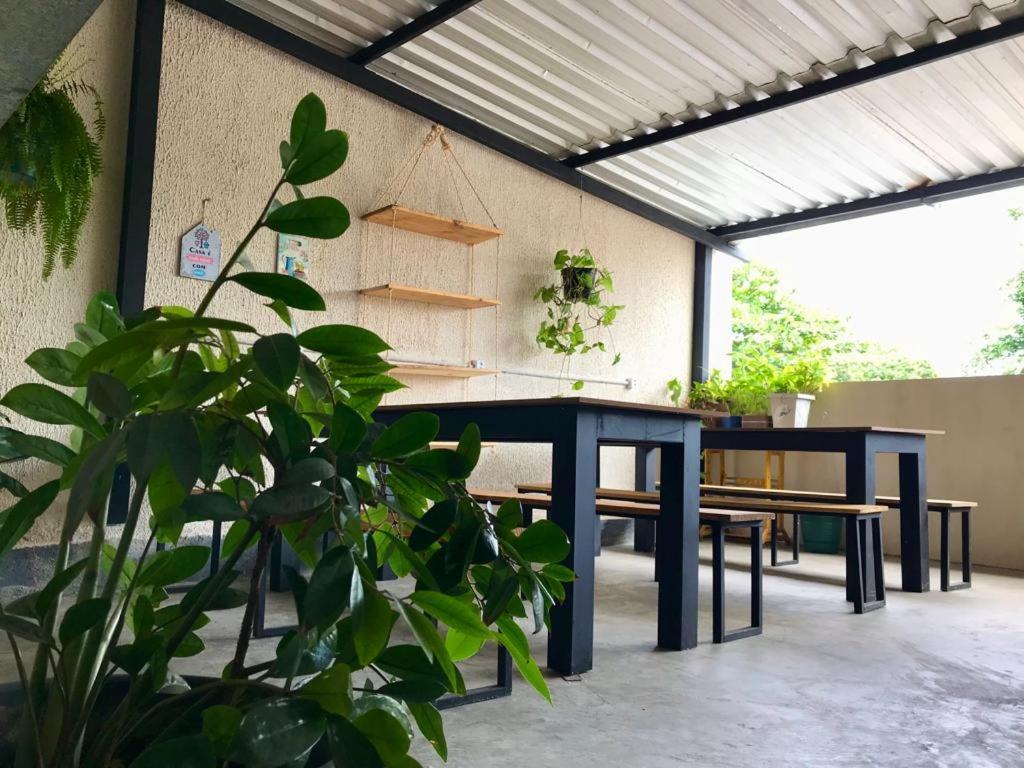 Hostel Freeway 브라질리아 외부 사진